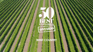 World’s 50 Best – Canadian Wine